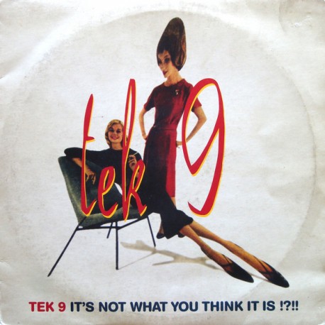 Tek 9 - ‎It's Not What You Think It Is !?!! - Double LP Vinyl Album - Drum'n Bass Hip Hop