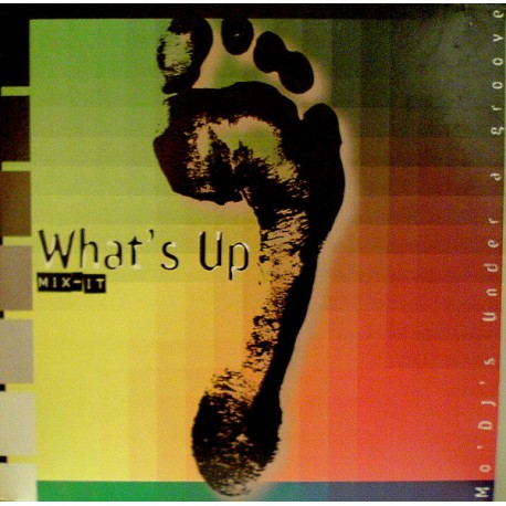 What's Up Mix-It - Mo' DJ's Under A Groove - Double LP Vinyl Album - Trip Hop Acid Jazz Deep House