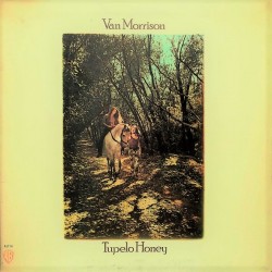 Van Morrison ‎- Tupelo Honey - LP Vinyl Album 1971 - Blues Rock Folk