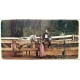 Van Morrison ‎- Tupelo Honey - LP Vinyl Album 1971 - Blues Rock Folk