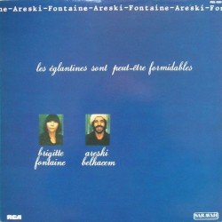 Brigitte Fontaine - Areski Belkacem - Les Églantines Sont Peut-Être Formidables - LP Vinyl Album 1980 - Experimental Chanson