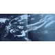 Steely Dan ‎- Pretzel Logic - LP Vinyl Album Gatefold 1974 - Rock Music