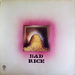 Ron Nagle ‎- Bad Rice - LP Vinyl Album 1970 -  Rock & Roll Southern