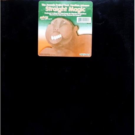 The Ananda Project Feat. Heather Johnson - Straight Magic - Maxi Vinyl 12 inches - Deep House Music