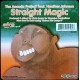 The Ananda Project Feat. Heather Johnson - Straight Magic - Maxi Vinyl 12 inches - Deep House Music