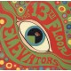 The 13th Floor Elevators - The Psychedelic Sounds Of The 13th Floor Elevators - LP Vinyl Album - Psychedelic Rock