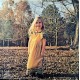 The Allman Brothers Band - Brothers And Sisters - LP Vinyl Album UK - Blues Country Rock Music