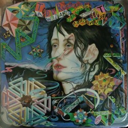 Todd Rundgren - A Wizard, A True Star - LP Vinyl Album 1973 - Die Cut Cover - Psychedelic Rock