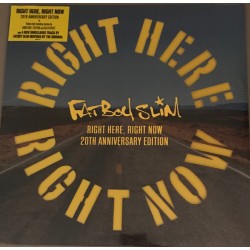 Fatboy Slim - Right Here Right Now - Maxi Vinyl 12 inches - Electro Music