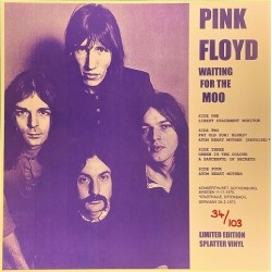 Pink Floyd - Waiting For The Moo - Double LP Vinyl Album - Coloured Splatter - Psychedelic Rock