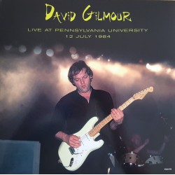 David Gilmour (Pink Floyd) - Live At Pennsylvania University 12 July 1984 - LP Vinyl Album - Rock Music