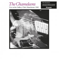 The Chameleons - Live At The Gallery Club - LP Vinyl Album - Rock Music