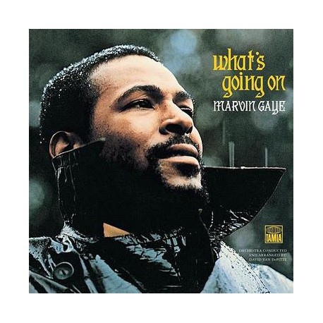Marvin Gaye ‎- What's Going On - LP Vinyl Album Reissue - Soul Music