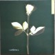Depeche Mode - Violations - LP Vinyl Album - New Wave
