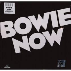 David Bowie - LP Vinyl Album Bowie Now - Record Store Day - Coloured - Glam Rock