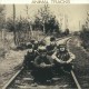The Animals - Animal Tracks - LP Vinyl Album - Rock Rhythm & Blues