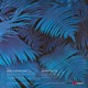 Edgar Froese (Tangerine Dream) - Epsilon In Malaysian Pale - LP Vinyl Album Coloured-  Disquaire Day 2022 - Ambient Electronic