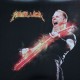Metallica - Master Of Sao Paulo Part 1 & 2 - LP Vinyl Album Picture Disc - Heavy Metal