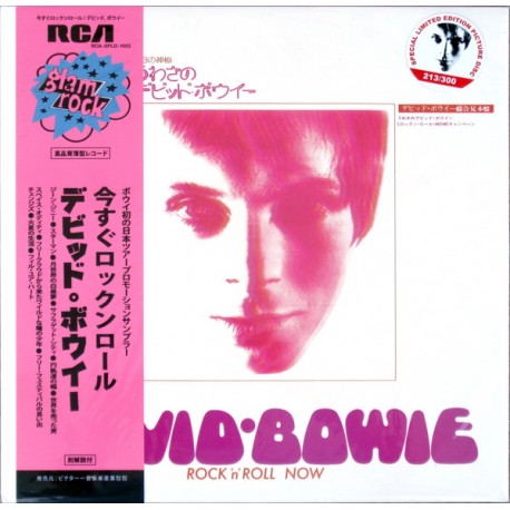 David Bowie - Rock 'n' Roll Now - LP Vinyl Album Picture Disc + Poster - Glam Rock