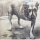 Alice In Chains - Grind - Alice In Chains - Double LP Vinyl Album Coloured - Grunge Indie Rock