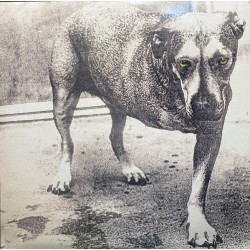 Alice In Chains - Grind - Alice In Chains - Double LP Vinyl Album Coloured - Grunge Indie Rock