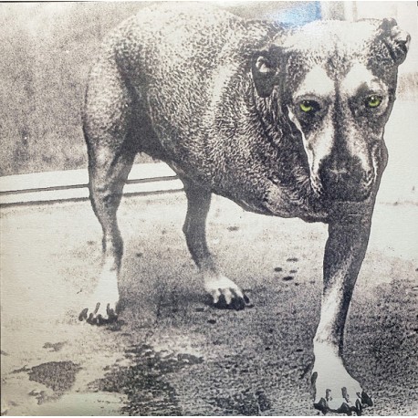 Alice In Chains - Grind - Alice In Chains - Double LP Vinyl Album Coloured - Grunge Indie Rock