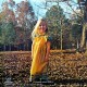 The Allman Brothers Band - Brothers And Sisters - LP Vinyl Album UK - Blues Country Rock Music