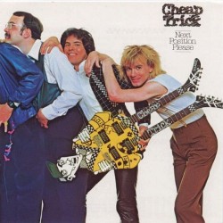 Cheap Trick - Next Position Please - LP Vinyl Album - Rock Music