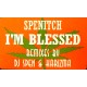 Spenitch - I'm Blessed (The Remixes) - Maxi Vinyl 12 inches - House Music