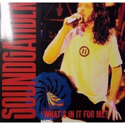Soundgarden - What's In It For Me - LP Vinyl Album - Grunge Rock