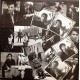 Snappin' Boys - Domino Punch Out - LP Vinyl Album - Rock Music