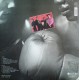Snappin' Boys - Domino Punch Out - LP Vinyl Album - Rock Music