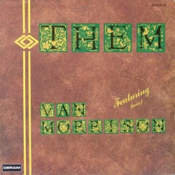 Them - Them Featuring Van Morrison - Double LP Vinyl Album - Blues Rock