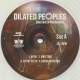 Dilated Peoples - Directors Of Photography - Double LP Vinyl Album Coloured Clear - Rap US