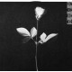 Depeche Mode - Violator - LP Viyl Album 1990 - Synth Pop New Wave
