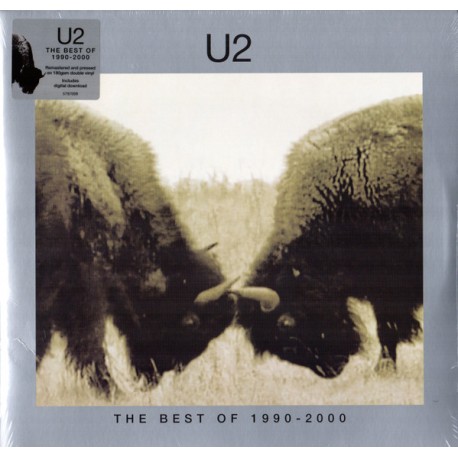 U2 - The Best Of 1990-2000 - Double LP Vinyl Album - Alternative Rock