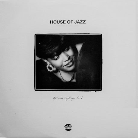 House Of Jazz Featuring Jolynn Murray - How Can I Get You Back - Double LP Vinyl Album - Deep House Music