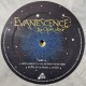Evanescence - The Open Door - Double LP Vinyl Album - Limited Coloured Grey - Alternative Rock Goth - Record Store Day
