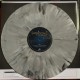 Evanescence - The Open Door - Double LP Vinyl Album - Limited Coloured Grey - Alternative Rock Goth - Record Store Day