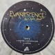 Evanescence - The Open Door - Double LP Vinyl Album - Limited Coloured Grey - Alternative Rock Goth - Record Store Day