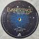 Evanescence - The Open Door - Double LP Vinyl Album - Limited Coloured Grey - Alternative Rock Goth - Record Store Day