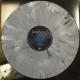 Evanescence - The Open Door - Double LP Vinyl Album - Limited Coloured Grey - Alternative Rock Goth - Record Store Day