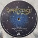 Evanescence - The Open Door - Double LP Vinyl Album - Limited Coloured Grey - Alternative Rock Goth - Record Store Day