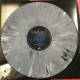 Evanescence - The Open Door - Double LP Vinyl Album - Limited Coloured Grey - Alternative Rock Goth - Record Store Day