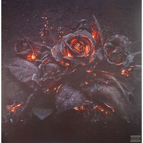 Future - EVOL - LP Vinyl Album - Coloured - Hip Hop US - Disquaire Day