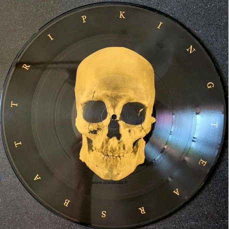 Moloch - Horizont - LP Vinyl Album Picture Disc - Black Metal Dark Ambient