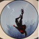 Daniel Pemberton - Spider-Man Into The Spider-Verse - Double LP Vinyl Picture Disc - OST Soundtrack