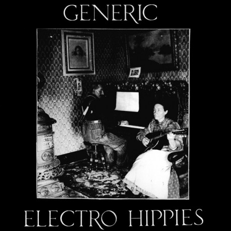 Generic - Electro Hippies – Play Loud Or Not At All - Split LP Vinyl Album - Punk Hardcore Thrash