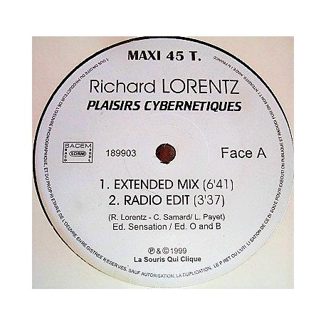 Richard Lorentz - Plaisirs Cybernetiques - Maxi Vinyl 12 inches - Electro French Touch