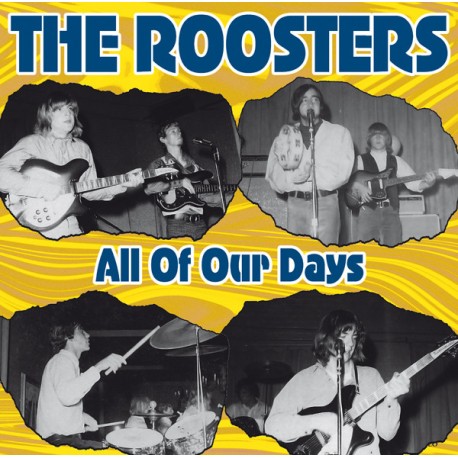 The Roosters - All Of Our Days - LP Vinyl Album - Garage Rock